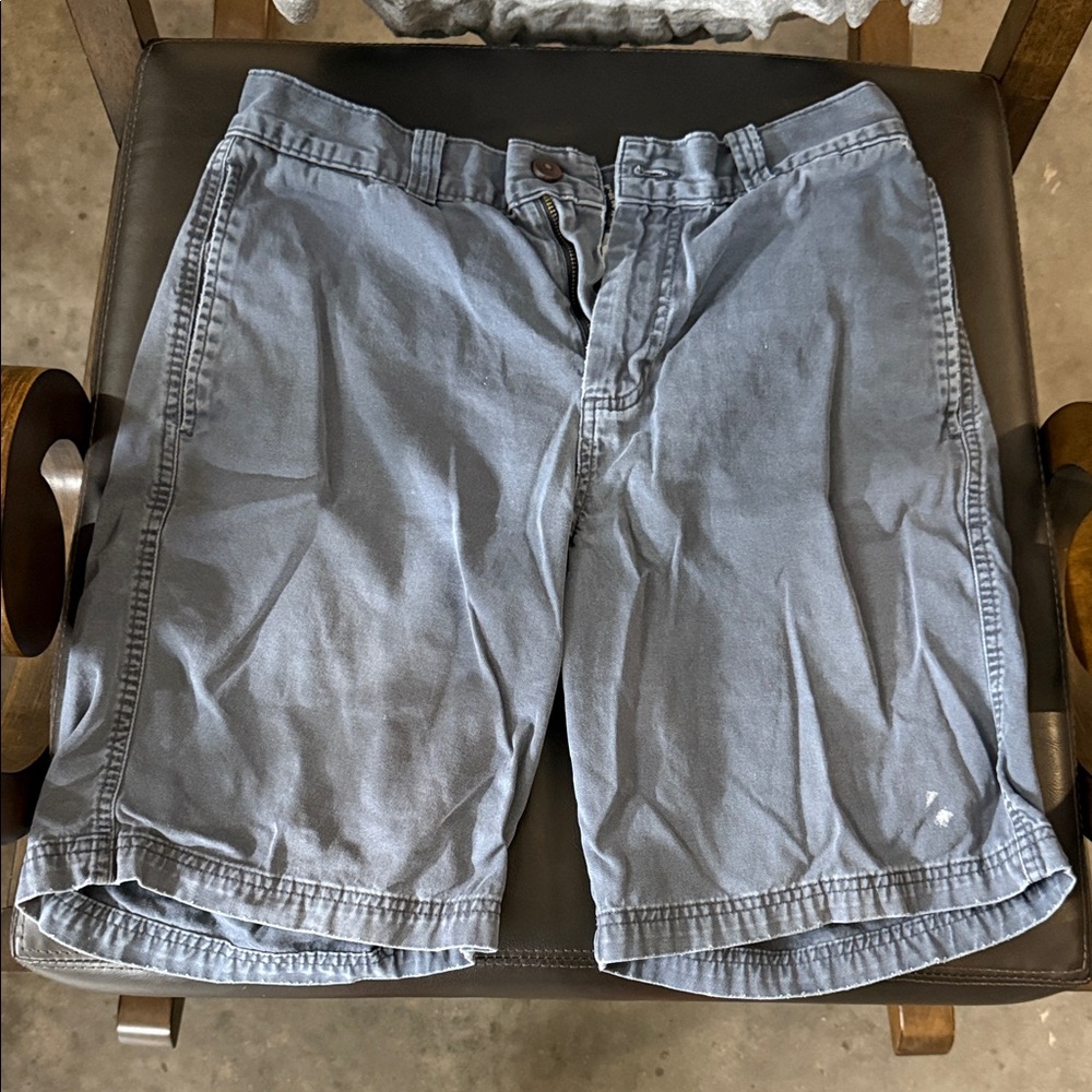 Magellan Outdoors Blue Gray Shorts - 32